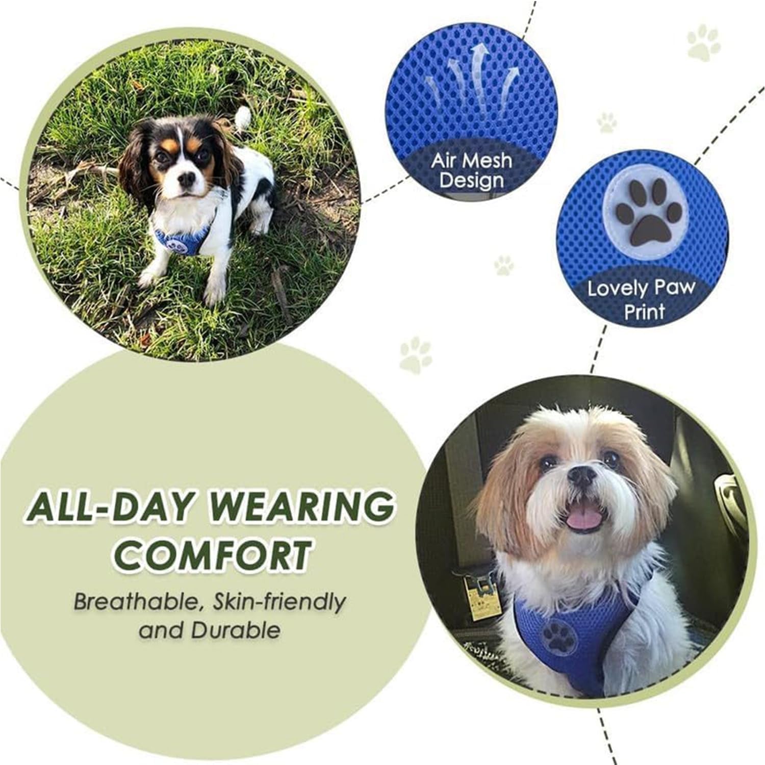 Keep Your Pup Safe on the Road: 2-in-1 Dog Car Harness & Seatbelt! 🐾🚗
