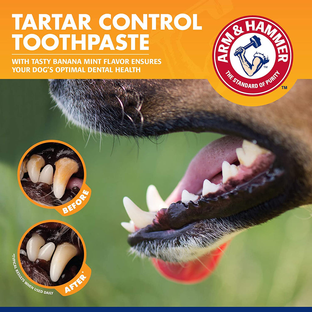 Say goodbye to tartar! 🐾✨ Check out our 3-piece Tartar Control Dog Dental Kit in delicious Banana Mint! 🐶🍌🌿