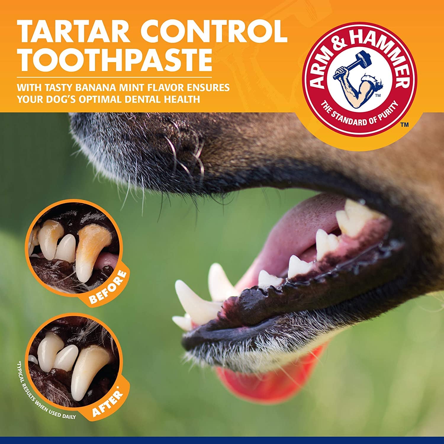 Say goodbye to tartar! 🐾✨ Check out our 3-piece Tartar Control Dog Dental Kit in delicious Banana Mint! 🐶🍌🌿
