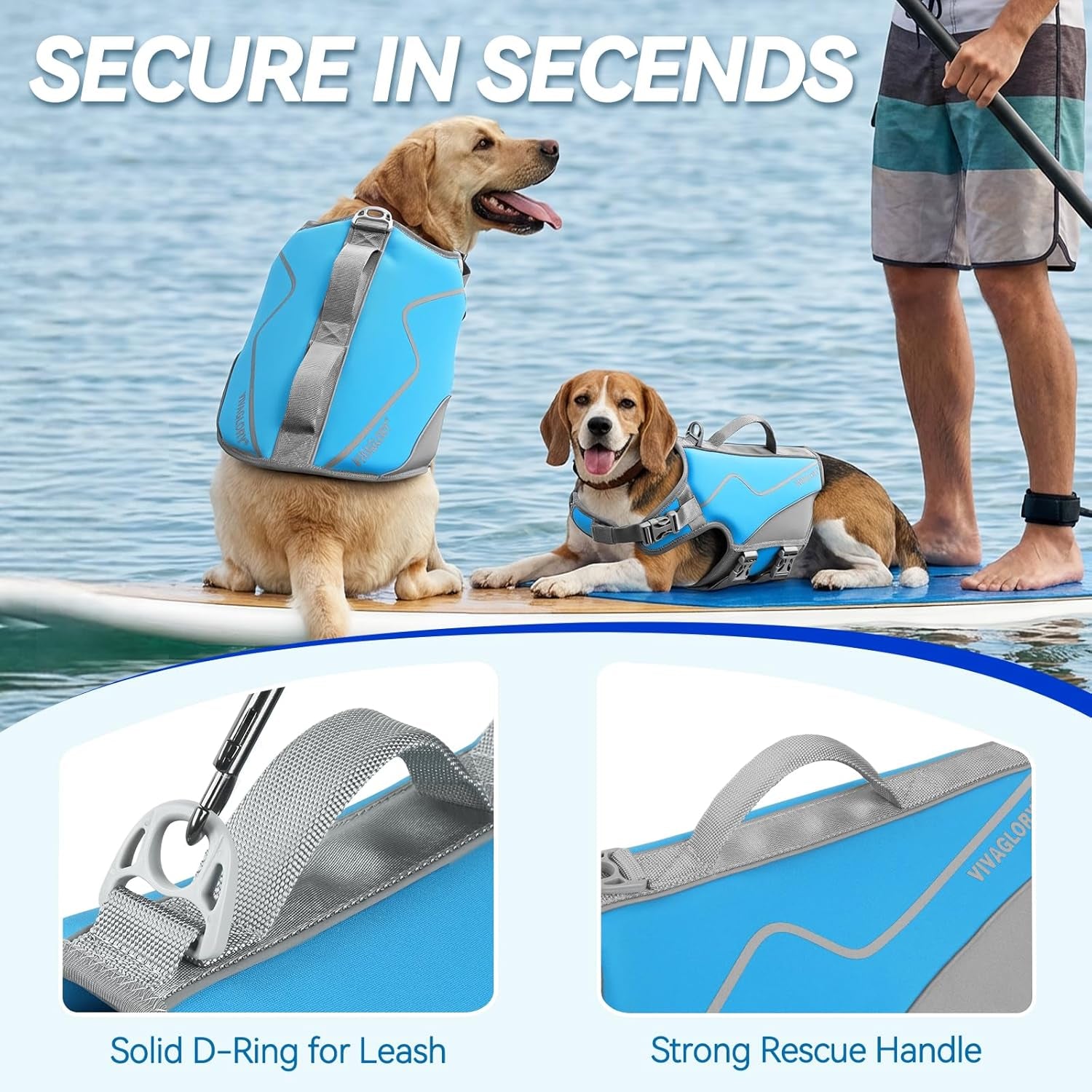 Dog Life Vest Neoprene Dog Swim Vest, XS, Cyra Blue