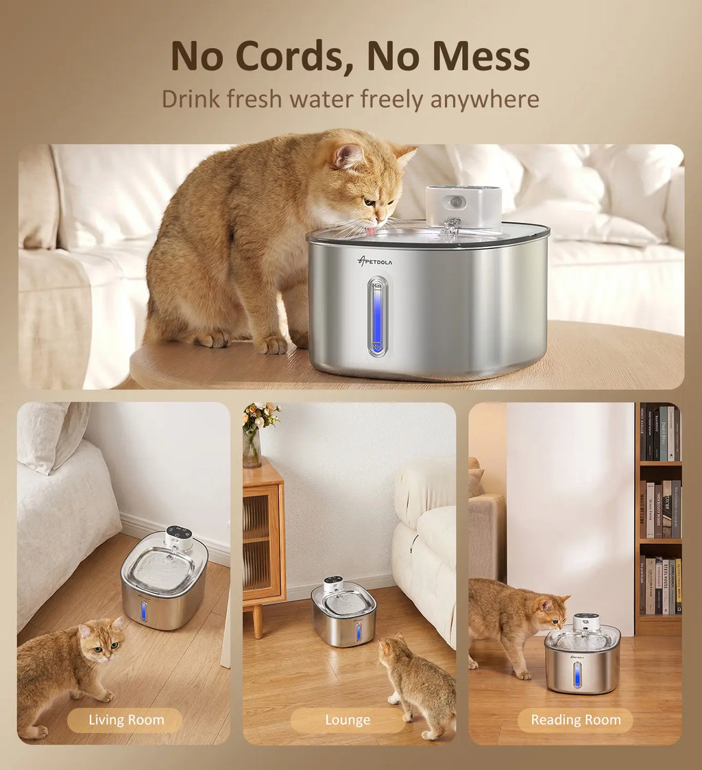 Upgrade your pet's hydration game with our cordless Stainless Steel Cat Water Fountain! 🐾💧 Perfect for multi-cat households and outdoor adventures! 🌟 #PetEssentials #HappyHydratedPets