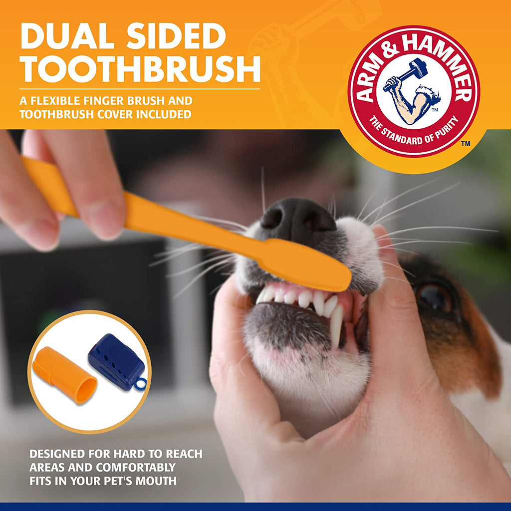 Say goodbye to tartar! 🐾✨ Check out our 3-piece Tartar Control Dog Dental Kit in delicious Banana Mint! 🐶🍌🌿